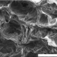 葡聚糖-羧基 修饰葡聚糖 Dextran-COOH Dex-COOH