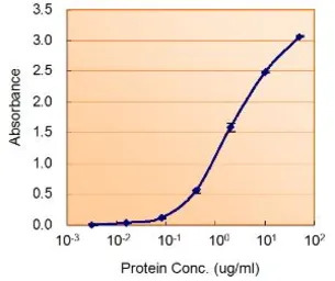 ALDH2 antibody, Internal