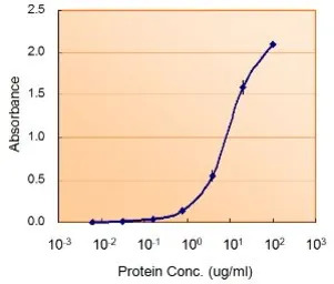 G6PD (aa 308 - 320) antibody, 