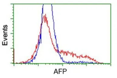 Alpha fetoprotein / AFP antibo