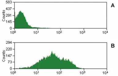 CD47 antibody [MEM-122]