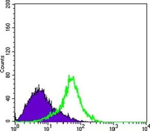 LYRIC antibody [2F11C3]