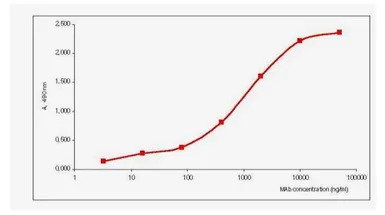 Influenza B virus M1 (matrix p