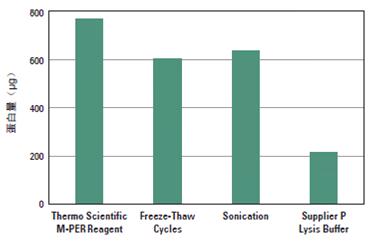 M-PER哺乳动物细胞总蛋白抽提试剂