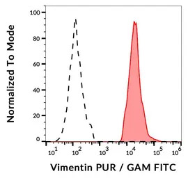 Vimentin antibody [VI-RE/1]