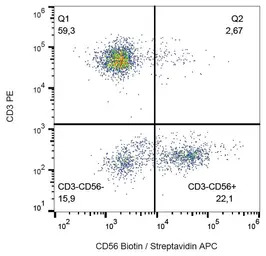 NCAM antibody [MEM-188] (Bioti