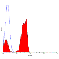 CD2 antibody [LT2] (FITC)