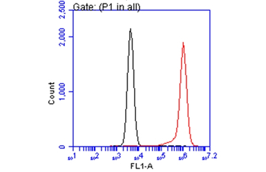 Annexin V antibody