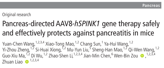 Gut∣海军军医大学廖专/邹文斌开发国际AAV基因治疗慢性胰腺炎新方法