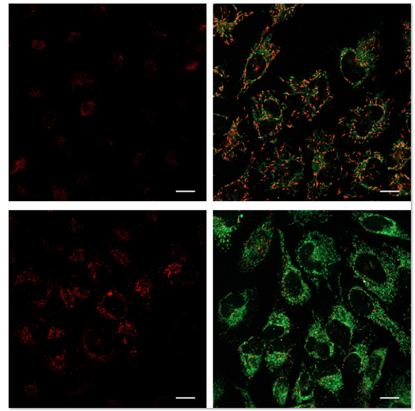 1606294718424606.png 1606294718424606.png