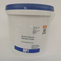 牛血清白蛋白,标准级,热休克法,新西兰源
