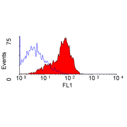 CD200 antibody [MRC OX-2] (PE)
