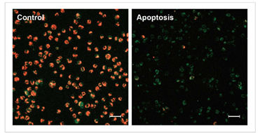 1606294576462329.png 1606294576462329.png