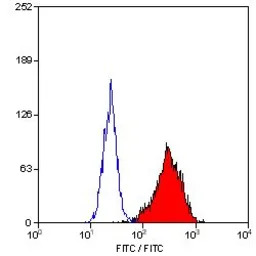 CD90 antibody [F15-42-1] (FITC