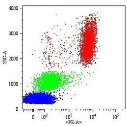CD16 antibody [MEM-154]