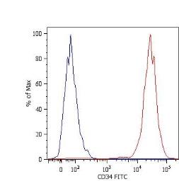 CD34 antibody [4H11(APG)] (FIT