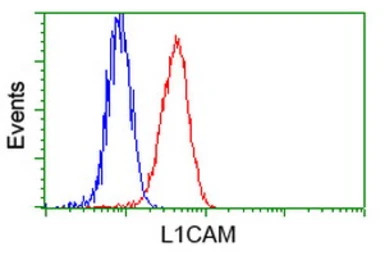 L1CAM antibody [2C7]