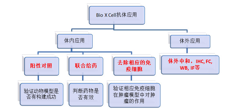 CD25抗体(IL-2Rα)体内调节T细胞去除，FC