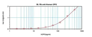 OPG antibody (Biotin)