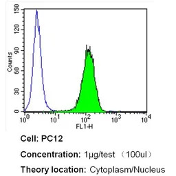 Importin beta 1 antibody [3E9]