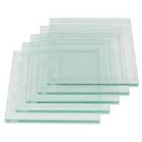 BIO-RAD/伯乐-Mini-protean电泳外玻璃，1.0mm