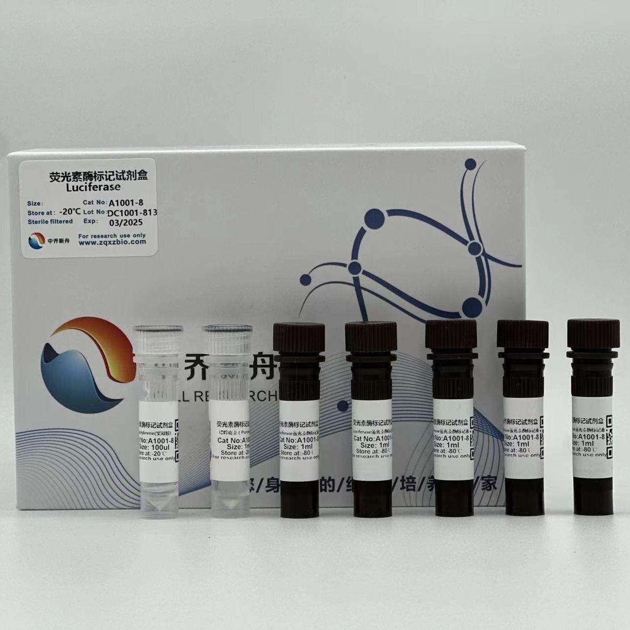 荧光素酶标记试剂盒