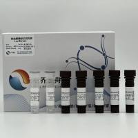 荧光素酶标记试剂盒