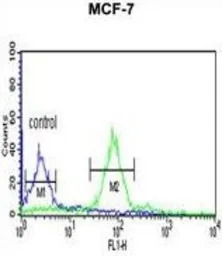 Histone H2A type 1H antibody, 