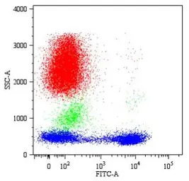 CD5 antibody [CRIS1]