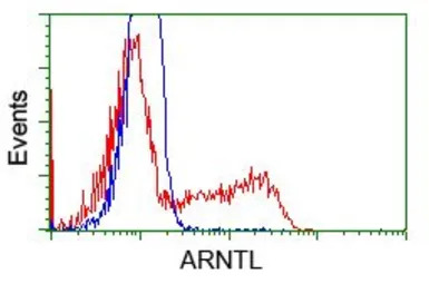 BMAL1 antibody [3G9]