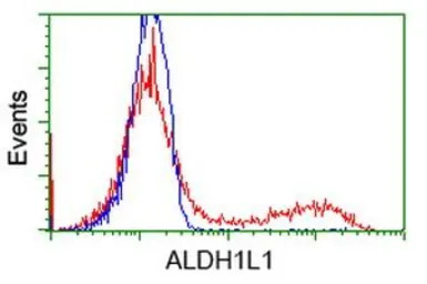 ALDH1L1 antibody [6A10]