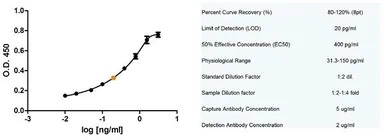 Fas Ligand antibody [14C2]