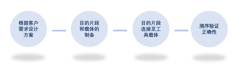 质粒载体构建（病毒载体/非病毒载体，干扰/过表达载体构建）