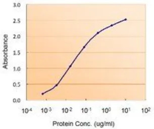 DGAT2 antibody, Internal