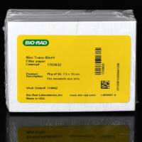 Thick Blot Filter Paper, Precut, 7.5 x 10 cm 转印滤纸