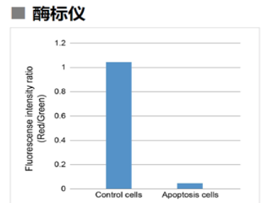 1608196394916701.png 1608196394916701.png