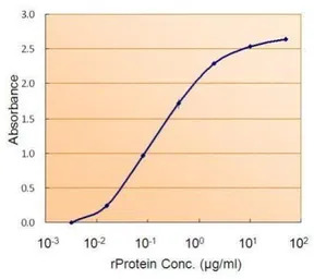 SMAD9 antibody, Internal