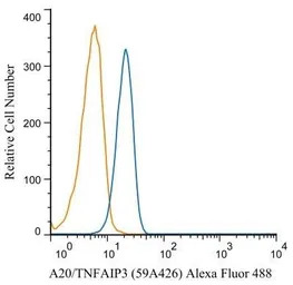 TNFAIP3 antibody [59A426]