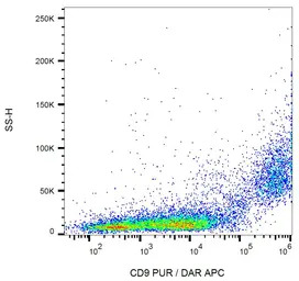 CD9 antibody [EM-04]