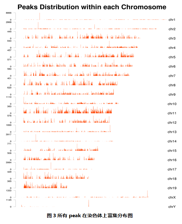 ATAC-seq 数据分析示例图 2