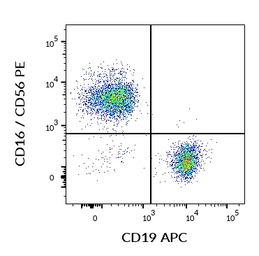 CD19 antibody [LT19] (APC)