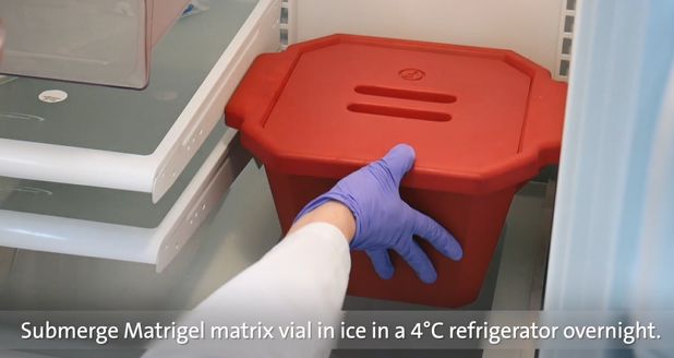 1565679692177297.jpg 4.jpg