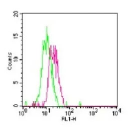 TLR7 antibody