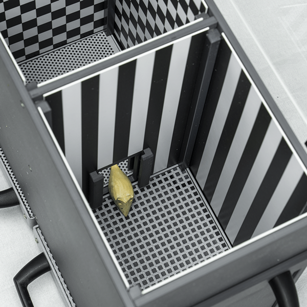 条件性位置偏爱视频分析系统，小动物偏爱实验