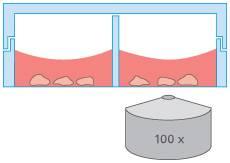 8孔腔室载玻片，ibiTreat底部处理