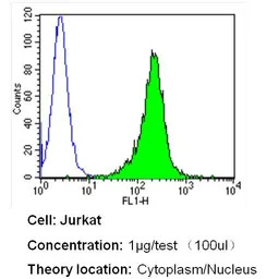 Importin beta 1 antibody [3E9]