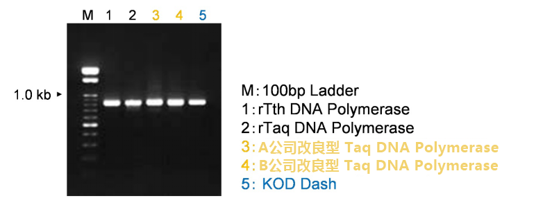逆转录试剂盒，高效率cDNA合成试剂盒