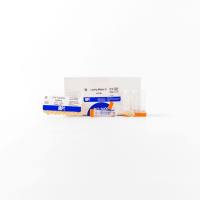 裂解介质 A, 2 mL管