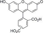 5-(and-6)-羧基荧光素 Biotium 51013