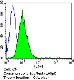Dynein antibody [74.1]